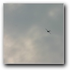 [Click to enlarge image]